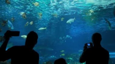 Ripleys Akvaryumu. Büyük akvaryumun önünde duran siluetler.