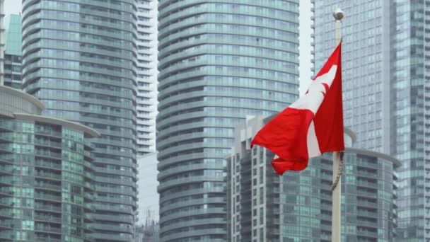 Flagga Kanada viftar i centrala Toronto med finansiella byggnader bakgrund — Stockvideo