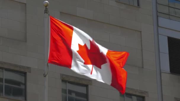 Kanada flagga viftar framför byggnaden. — Stockvideo