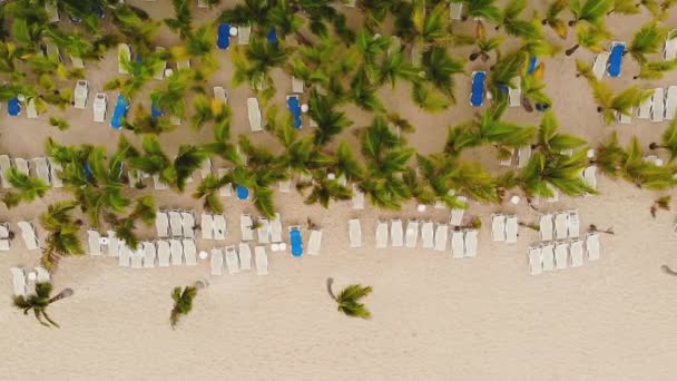 リゾートビーチ海岸線にデッキチェアが空 — ストック動画