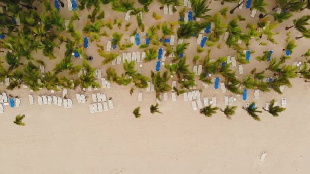リゾートビーチ海岸線にデッキチェアが空 — ストック動画