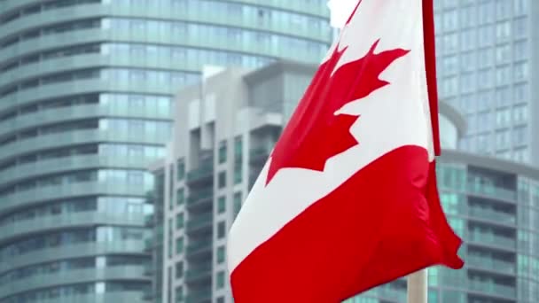 Kanadensisk flagga viftar, bakgrund byggnad glasfönster. — Stockvideo