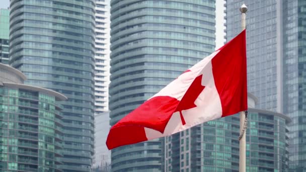 Канадський Національний Прапор Шалено Махає Сучасними Будівлями Прапор Канади Флагштоку — стокове відео