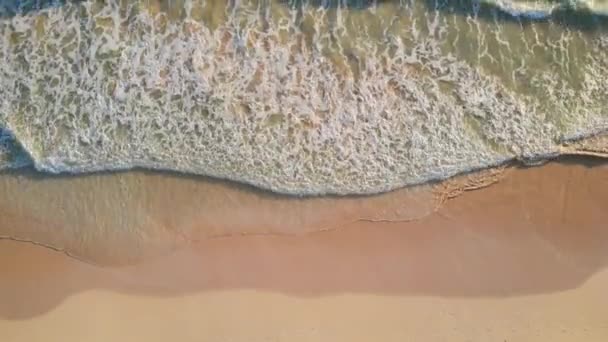 Beach Top View Wave Foam Aerial View Drone Scene Top — Stock Video