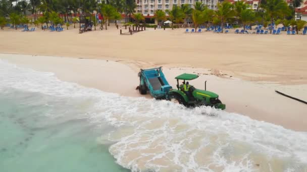 Dominikai Köztársaság Május 2021 Légi Kilátás Traktor Eltávolítja Törmelék Algák — Stock videók