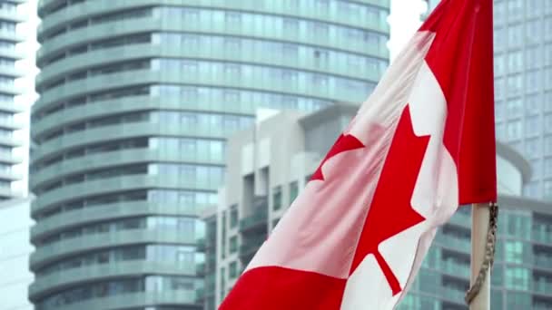 Stänga Upp Stora Kanadensiska Flaggan Fladdrar Kanadas Flagga Vinkar Framför — Stockvideo