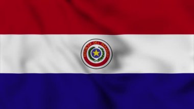 Paraguay ulusal bayrağı yakın plan video animasyonu sallıyor. Bayrak Kapanıyor. Bayraklar Hareketi Döngüsü HD.