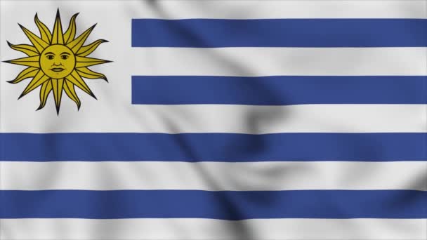 Uruguay Národní Vlajka Zblízka Vlnění Video Animace Video Příznakem Pomalý — Stock video