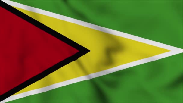Guyana Nationale Vlag Close Zwaaien Video Animatie Vlaggen Opblazen Van — Stockvideo