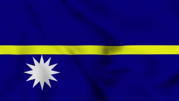 Nauru Nationale Vlag Close Zwaaien Video Animatie Vlaggen Opblazen Van — Stockvideo