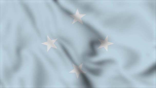 Federerade Stater Mikronesien Flagga Närbild Viftande Video Animation Flaggan Blåser — Stockvideo