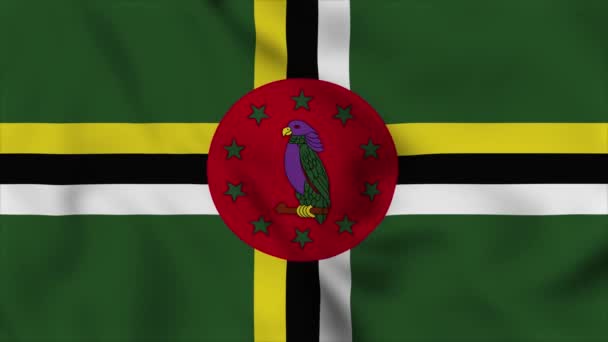 Dominica Nationale Vlag Closeup Zwaaien Video Animatie Vlaggen Opblazen Van — Stockvideo