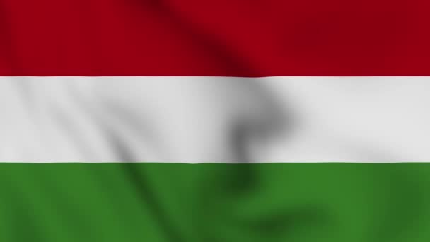 Magyarország Nemzeti Zászló Közeli Integető Videó Animáció Zászló Felrobban Zászló — Stock videók