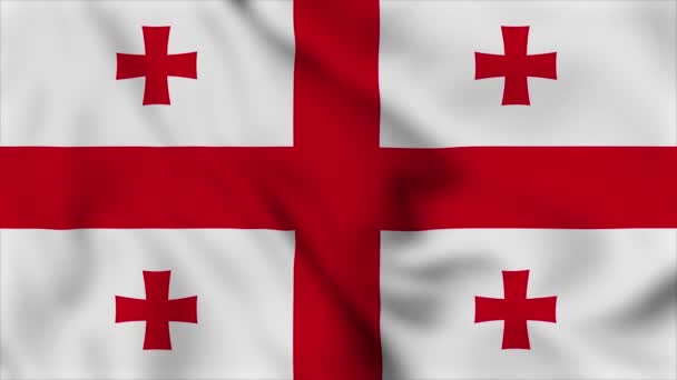 Національне Відео Про Прапор Грузії Національний Прапор Грузії Який Розмахує — стокове відео