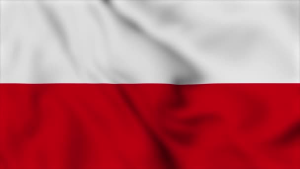 Polonia Bandera Vídeo Polonia Bandera Nacional Primer Plano Ondeando Animación — Vídeos de Stock