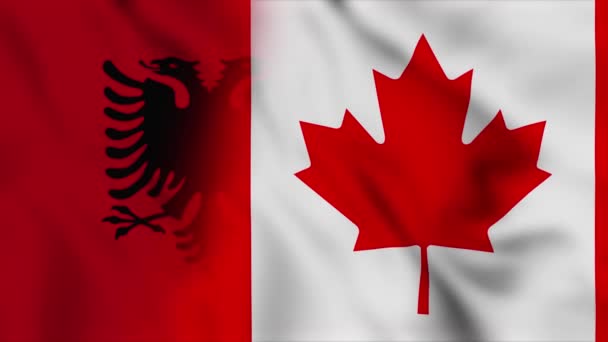 Αλβανία Και Καναδάς Σημαία Βίντεο Αλβανία Και Καναδάς Σημαίες Μικτής — Αρχείο Βίντεο