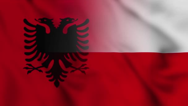 アルバニアとポーランドの国旗ビデオ アルバニアとポーランド混合国の旗の動きループアニメーションフラグが閉じて吹いています フラグ Motion Loop — ストック動画