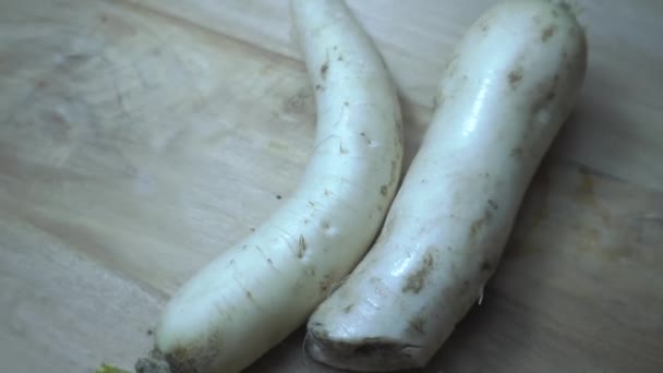 Λαχανικά Mooli Χειμώνα Χειμερινά Λαχανικά Mooli Επιστημονική Ονομασία Raphanus Sativus — Αρχείο Βίντεο