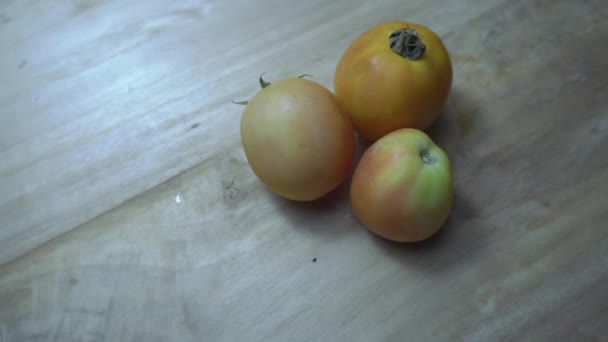 Tomaat Wintergroente Wetenschappelijke Naam Solanum Lycopersicum Met Folaat Vitamine Kalium — Stockvideo