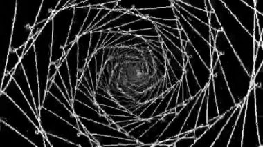 Beyaz tünel animasyonu sonsuz kusursuz döngü. Neon 'un soyut, kusursuz döngülü animasyonu. 3D soyut neon arkaplan, kusursuz hareket tasarımı. Neon döngüsü görsel efektler.