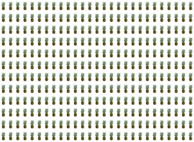 Rows of fresh pineapples, fruit, isolated.