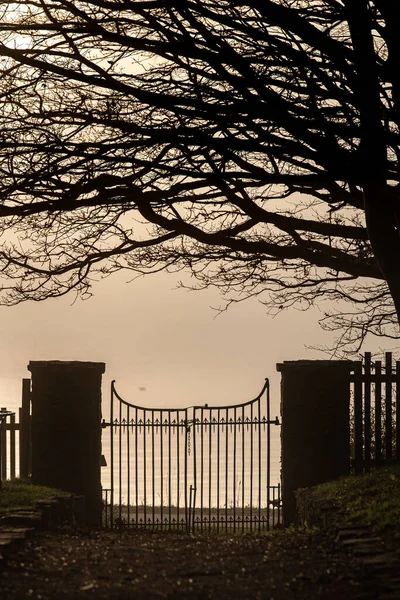 Old Metal Gate Sea Bare Tree Surreal Atmosphere Spooky Port — Stok fotoğraf
