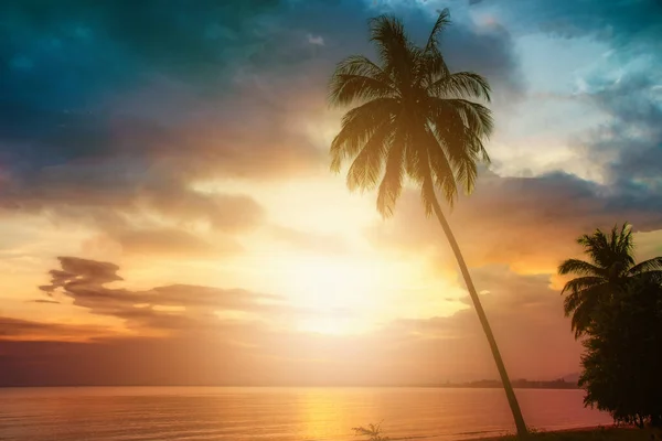 Silhouette Coconut Palm Trees Beach Sunset Vintage Tone — Stock Photo, Image