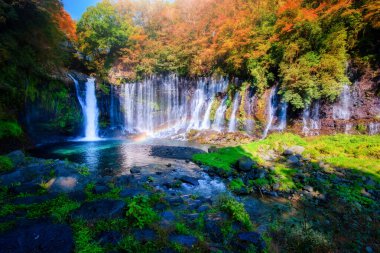 Fujinomiya, SHIZUOKA, Japonya renkli sonbahar yaprak ile Shiraito Falls.