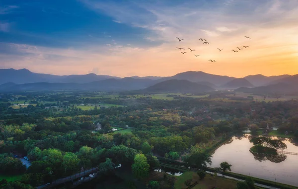 Gün batımında gökyüzü dramatik bir şekilde dağların ve ağacın tepesinden görünüyor.