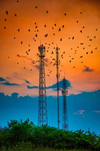 Silhouette Telekommunikationsantenne Für Handy Bei Sonnenuntergang — Stockfoto