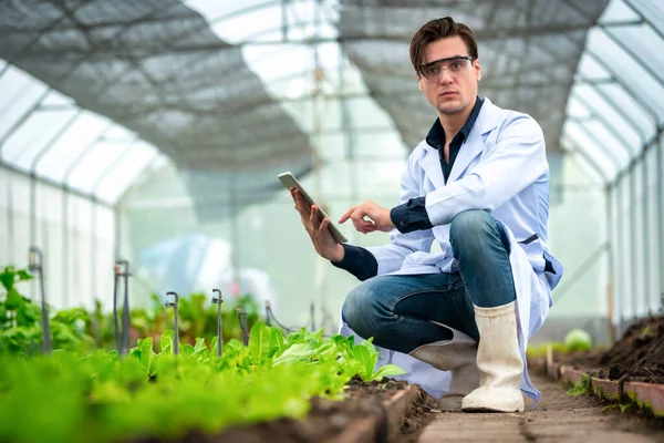 Retrato Belo Pesquisador Agrícola Segurando Tablet Enquanto Trabalhava Pesquisa Plantação — Fotografia de Stock