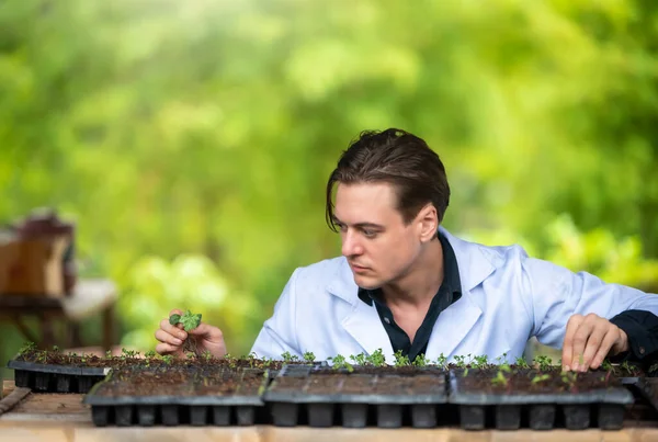 Endüstriyel seradaki çiftlikte araştırma yapan yakışıklı tarım araştırmacılarının portresi