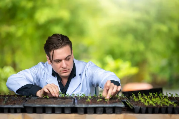 Endüstriyel seradaki çiftlikte araştırma yapan yakışıklı tarım araştırmacılarının portresi