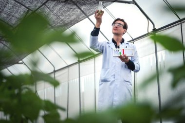 Endüstriyel seradaki çiftlikte araştırma yapan yakışıklı tarım araştırmacılarının portresi