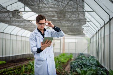 Endüstriyel seradaki tarlada araştırma yaparken elinde tablet tutan yakışıklı tarım araştırmacılarının portresi