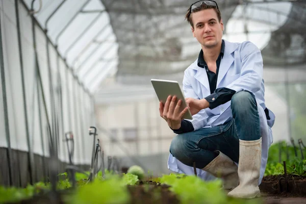 Retrato Belo Pesquisador Agrícola Segurando Tablet Enquanto Trabalhava Pesquisa Plantação — Fotografia de Stock