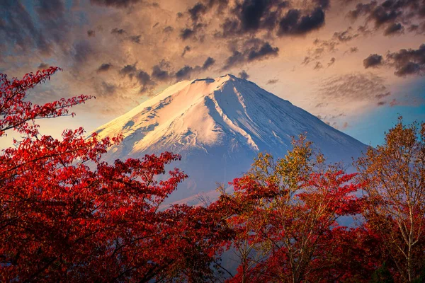 Fuji Japonya Nın Fujikawaguchiko Şehrinde Sonbahar Yapraklarıyla Dramatik Bir Gökyüzünde — Stok fotoğraf