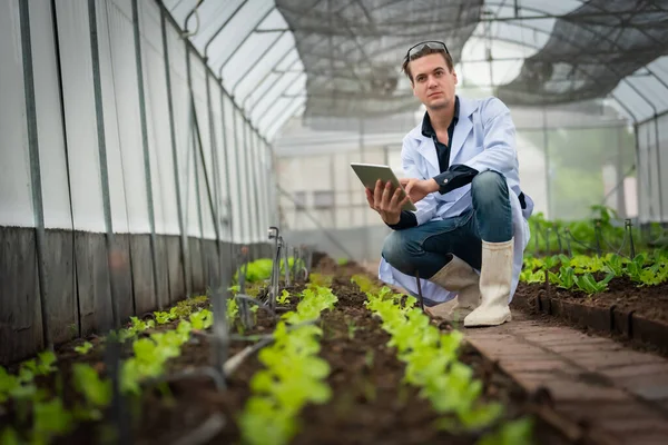 Portret Van Knappe Landbouwonderzoeker Die Tablet Vasthoudt Terwijl Hij Werkt Stockafbeelding