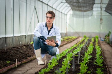 Endüstriyel seradaki tarlada araştırma yaparken elinde tablet tutan yakışıklı tarım araştırmacılarının portresi