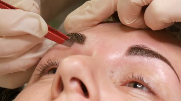Eyebrow bentuk koreksi. Seorang ahli memetik alis untuk klien menggunakan forceps — Stok Video