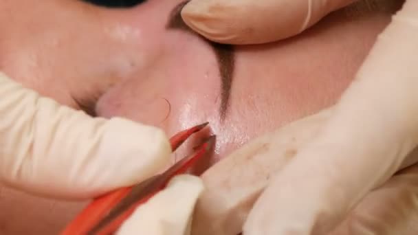 Eyebrow shape correction. A master plucks eyebrows for client using forceps — Stock Video