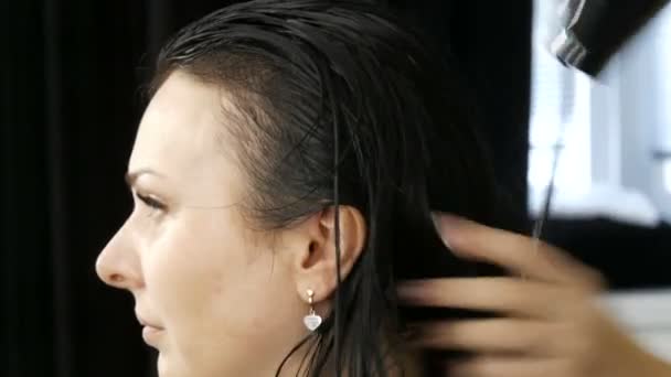 Lang zwart haar van een jonge vrouw föhnen-droog in een kapsalon — Stockvideo