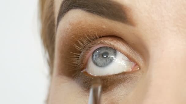 Maquillage de soirée professionnel oeil fumé. Maquillage des yeux, vue rapprochée du visage. Concept cosmétique — Video