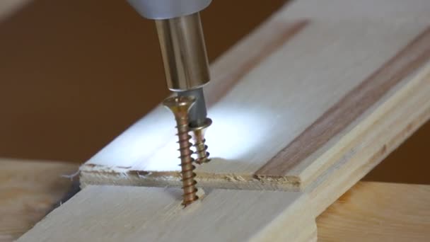 Die Schraubpistole schraubte Schrauben oder selbstschneidende Schrauben in eine Holzplatte. Zimmermannsberuf — Stockvideo
