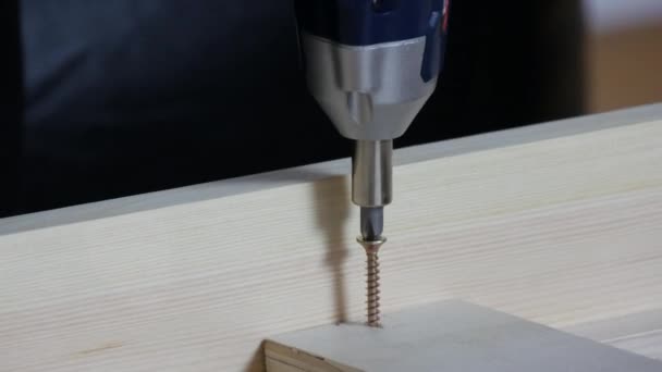 螺丝钉枪将螺钉或自攻螺钉拧成木板。木匠工作 — 图库视频影像