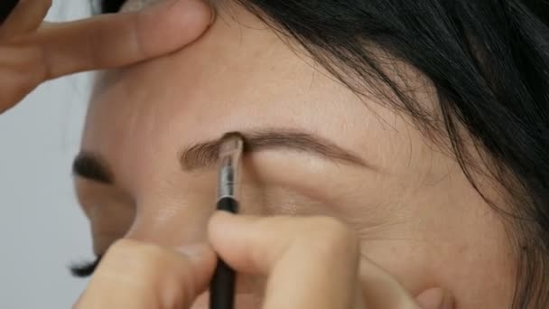 Maquillage quotidien léger et tendance dans les tons beiges. Le styliste à l'aide de pinceaux spéciaux fait maquillage des yeux et correction de la forme des sourcils à un beau modèle de jeune femme aux yeux bleus — Video