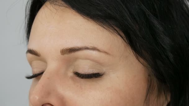 Maquillaje de ojos diario ligero de moda en tonos beige. El estilista con la ayuda de cepillos especiales hace que el maquillaje de ojos y la corrección de la forma de las cejas a un hermoso modelo de mujer joven de ojos azules — Vídeos de Stock