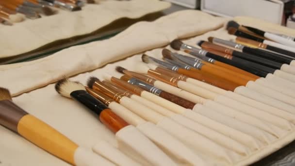 Conjunto de pincéis de maquiagem profissional. Maquiagem artista usa um conjunto especial de escovas naturais na mesa em camarim. Indústria da moda. Desfile de moda nos bastidores — Vídeo de Stock
