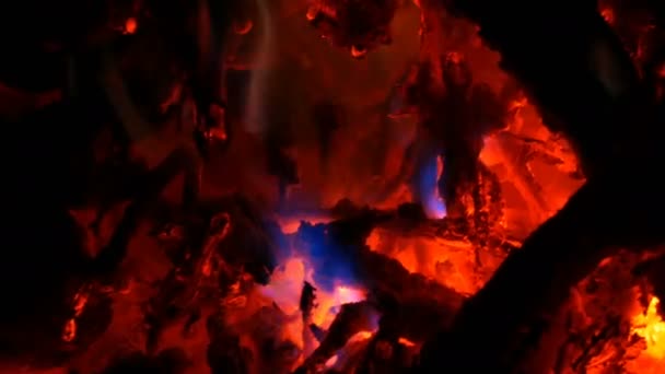 Incêndio excepcionalmente multicolorido interessante na queima de madeira no escuro — Vídeo de Stock