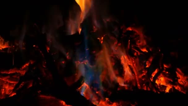 Fuego multicolor en la quema de madera en la oscuridad — Vídeo de stock